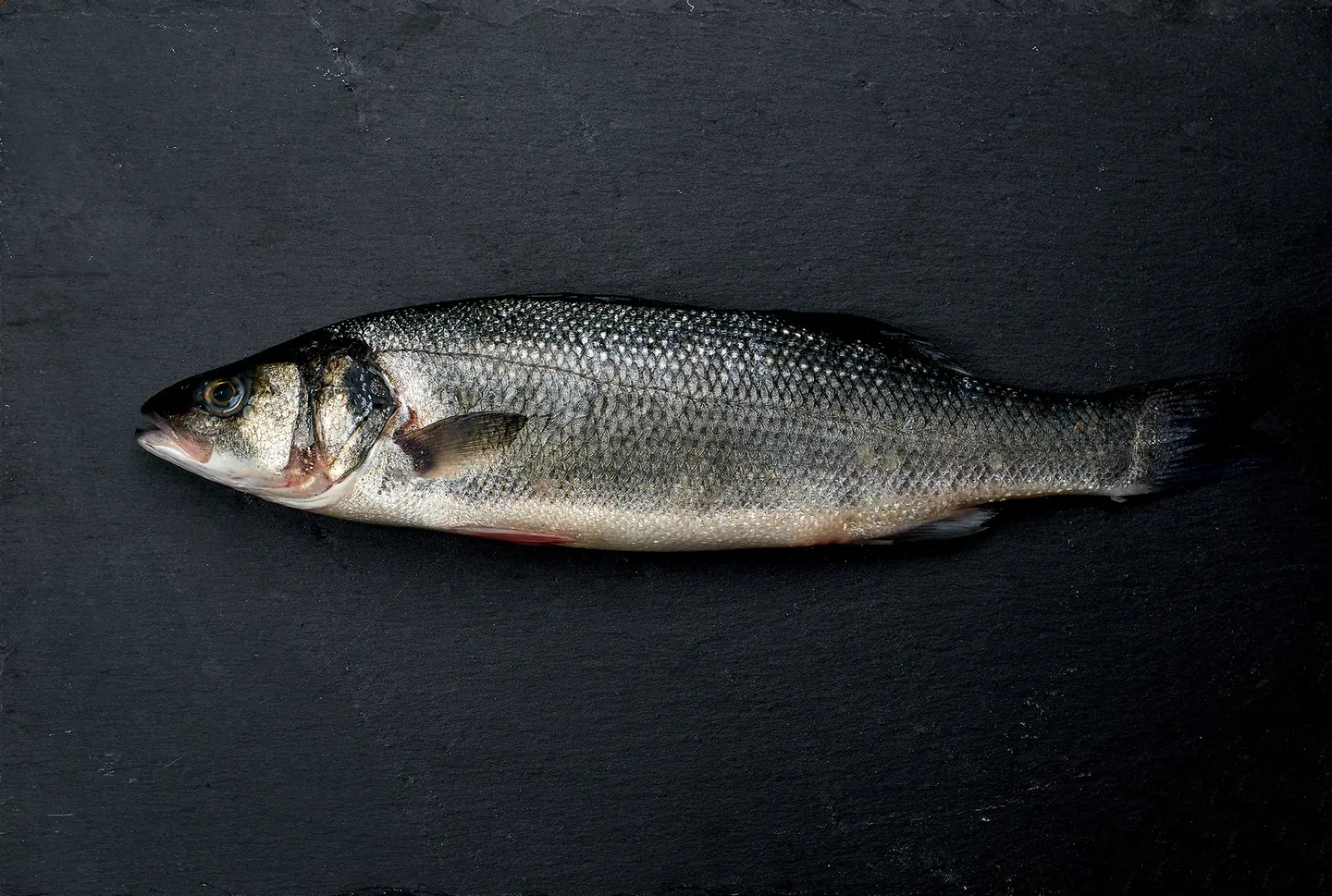 Frischer Fisch auf Schiefer, wie ihn Tillmanns täglich anbietet